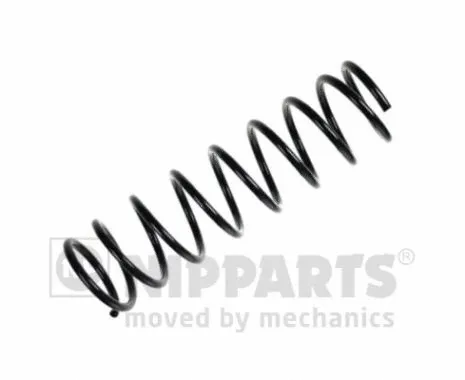 Suspension Spring (N5553020)