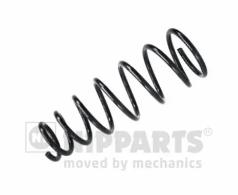 Suspension Spring (N5553060)