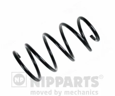 Suspension Spring (N5542101)