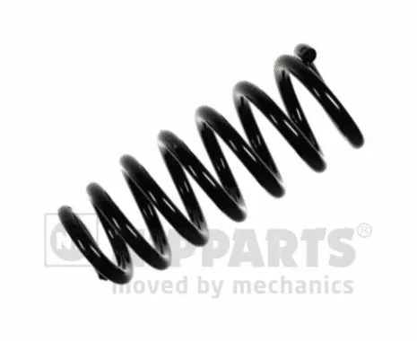 Suspension Spring (N5545024)