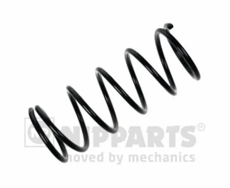 Suspension Spring (N5541026)