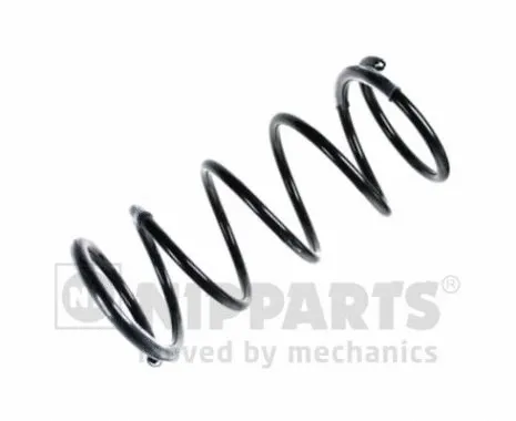 Suspension Spring (N5541119)