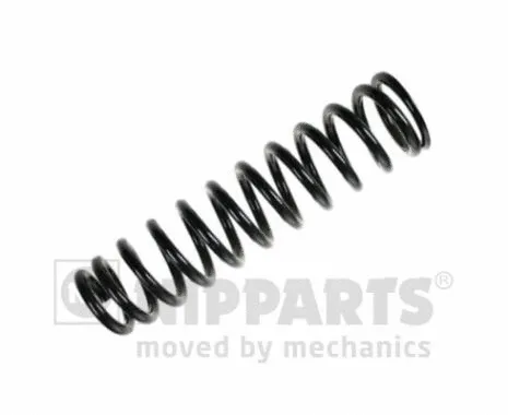 Suspension Spring (N5544106)