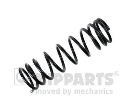 Suspension Spring (N5551034)