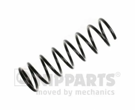 Suspension Spring (N5553032)