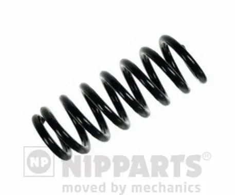 Suspension Spring (N5548040)