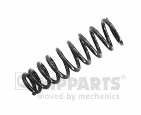 Suspension Spring (N5543111)