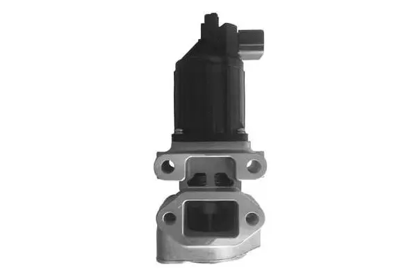 EGR Valve (VA7074)