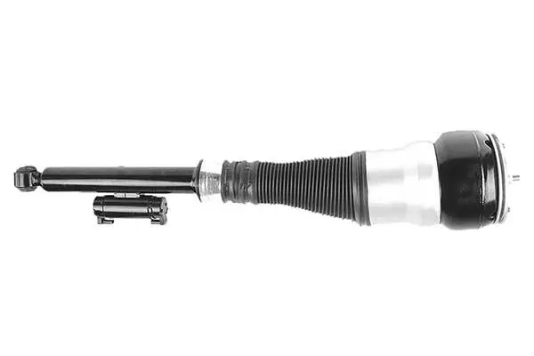 Air Suspension Strut (AMP2015)