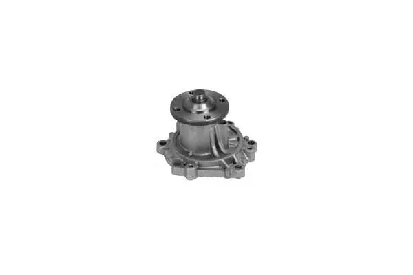Water Pump, engine cooling (W767)