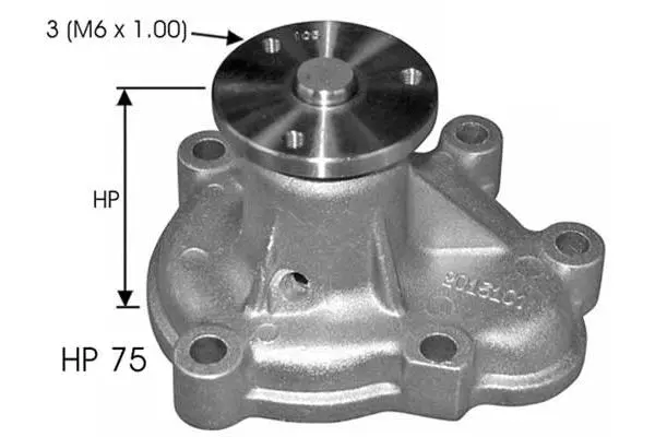Water Pump, engine cooling (W834)