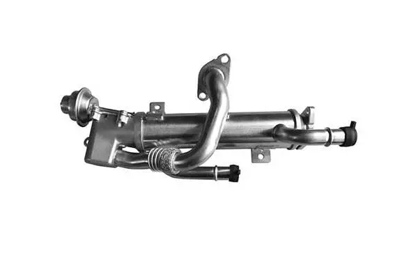 Cooler, exhaust gas recirculation (VG7219)