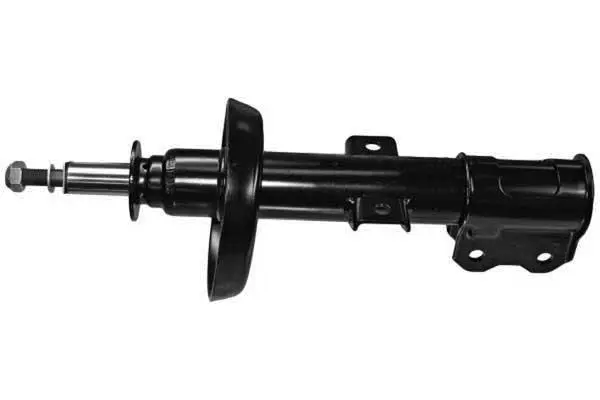 Shock Absorber (AM5579)