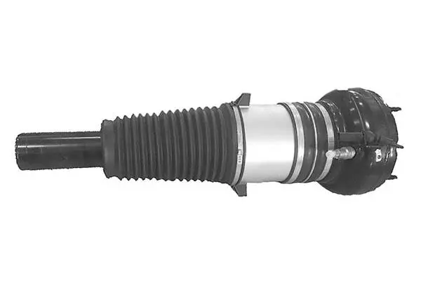 Air Suspension Strut (AMP2004)
