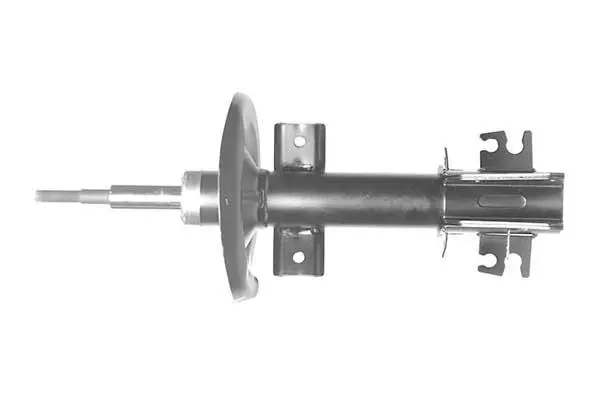 Shock Absorber (AM5929)