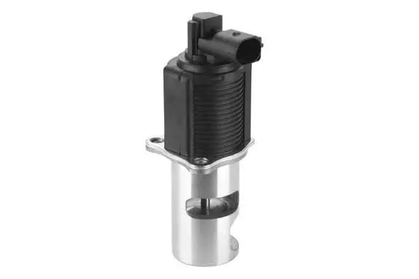 EGR Valve (VA7011)