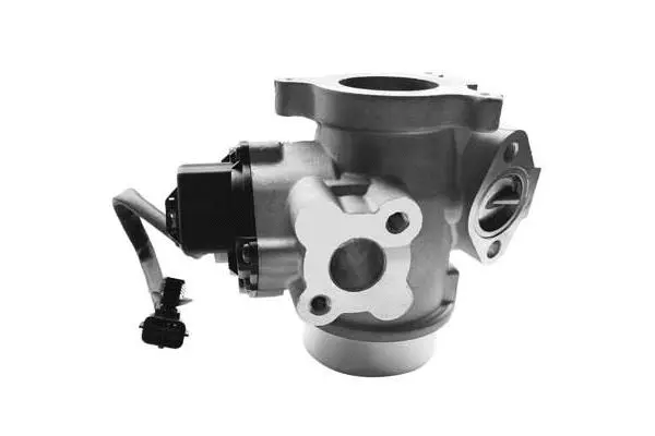 EGR Valve (VA7113)
