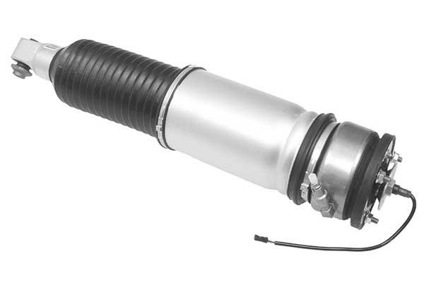 Air Suspension Strut (AMP2007)