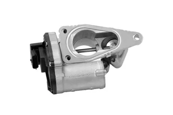 EGR Valve (VA7131)
