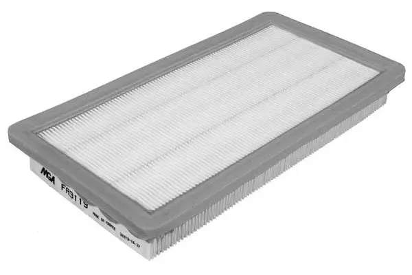 Air Filter (FA3119)