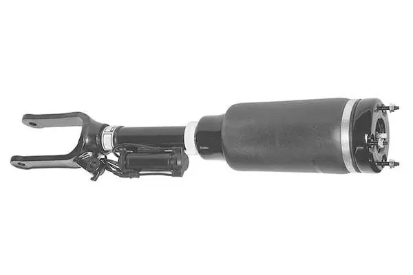 Air Suspension Strut (AMP1006)