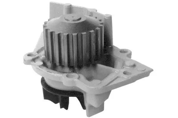 Water Pump, engine cooling (W747)