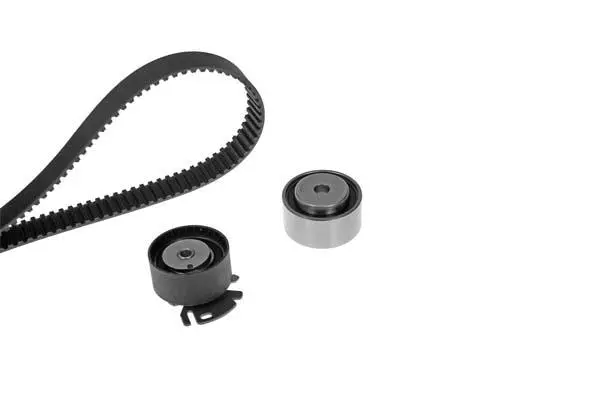Timing Belt Kit (X309H1)