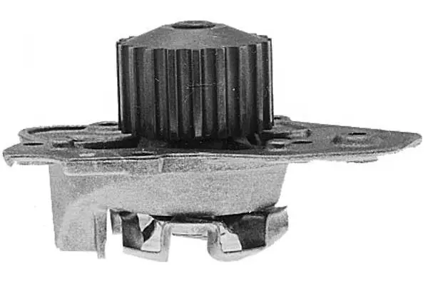 Water Pump, engine cooling (W393)