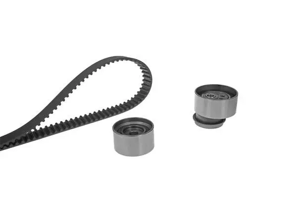 Timing Belt Kit (X219H1)