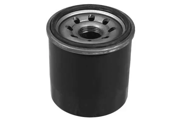 Oil Filter (FH1163)