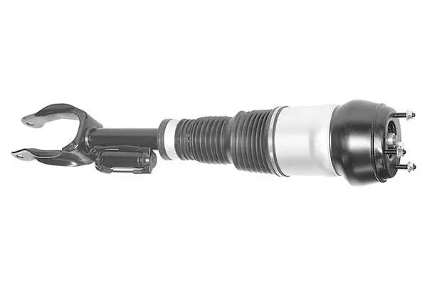 Air Suspension Strut (AMP3017)