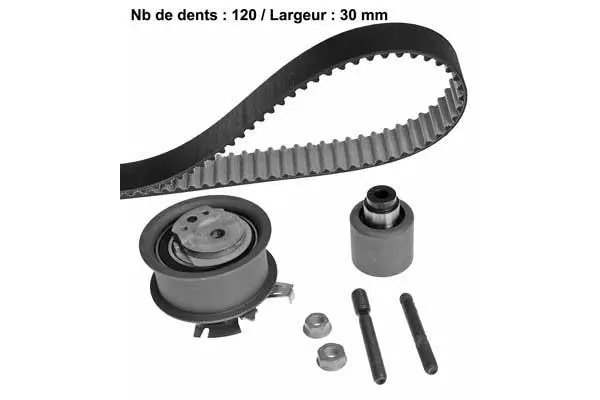 Timing Belt Kit (X543H5)