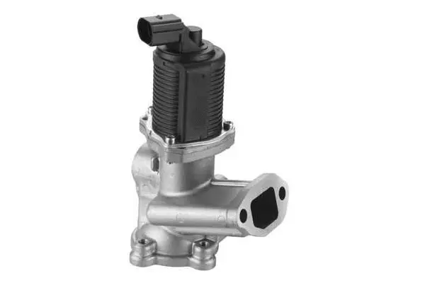 EGR Valve (VA7008)