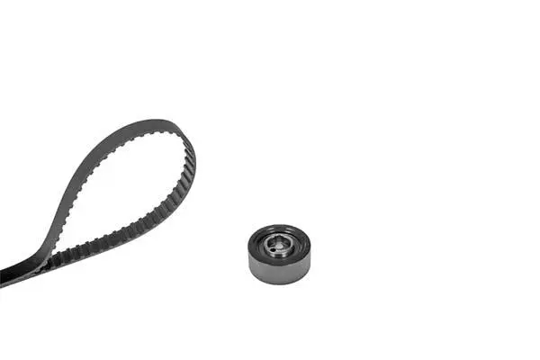 Timing Belt Kit (X0311)