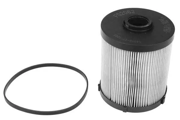 Fuel Filter (FG2062)