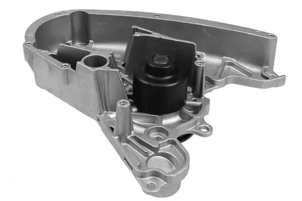Water Pump, engine cooling (W900)