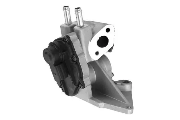 EGR Valve (VA7096)