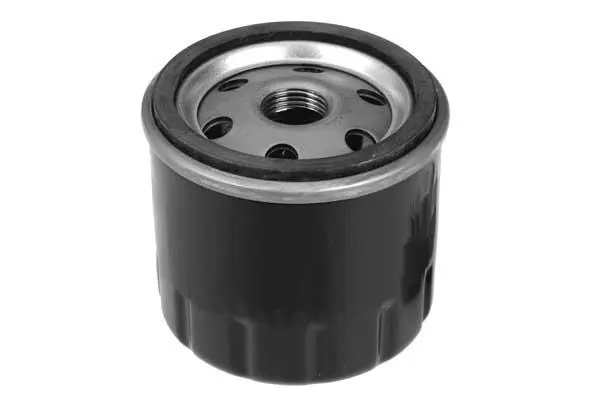 Oil Filter (FH1096)