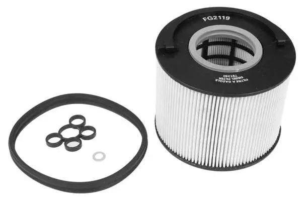 Fuel Filter (FG2119)