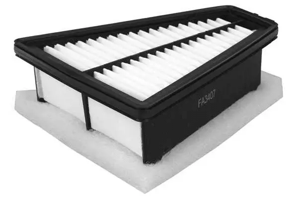 Air Filter (FA3407)