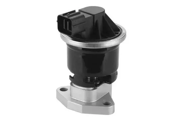 EGR Valve (VA7175)