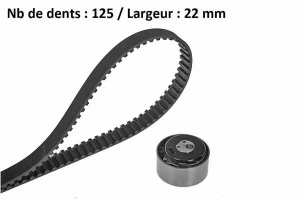Timing Belt Kit