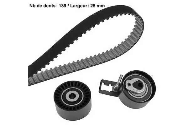Timing Belt Kit (X652H1)