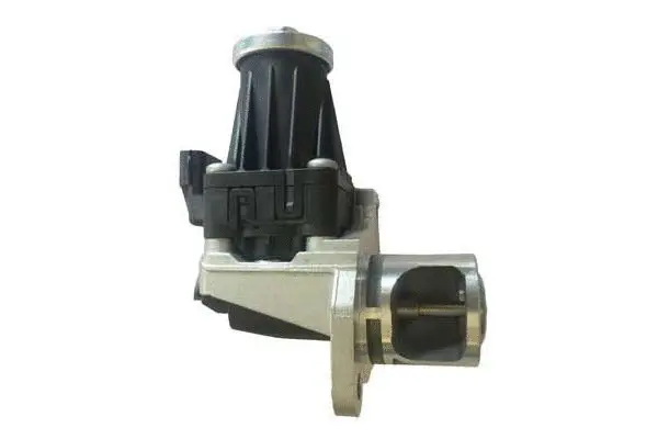 EGR Valve (VA7062)