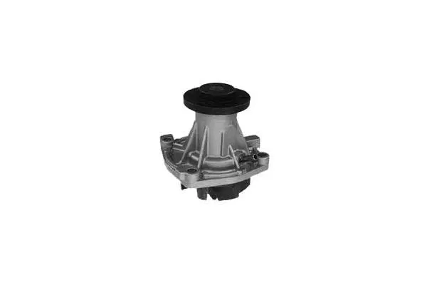Water Pump, engine cooling (W671)