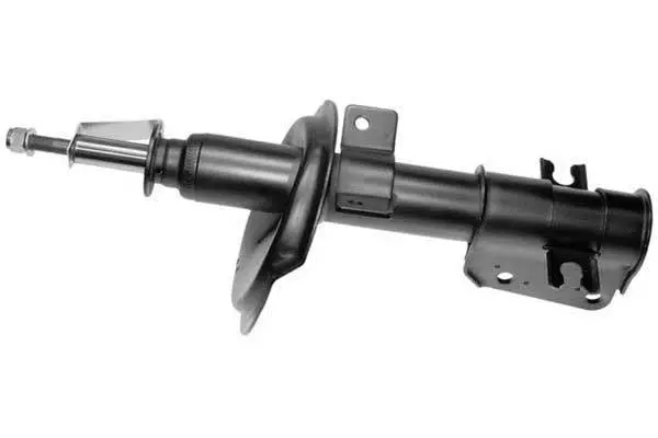 Shock Absorber (AM5556)
