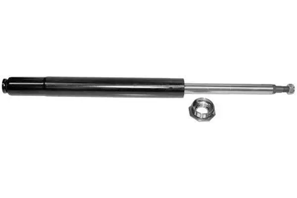 Shock Absorber (AM5666)