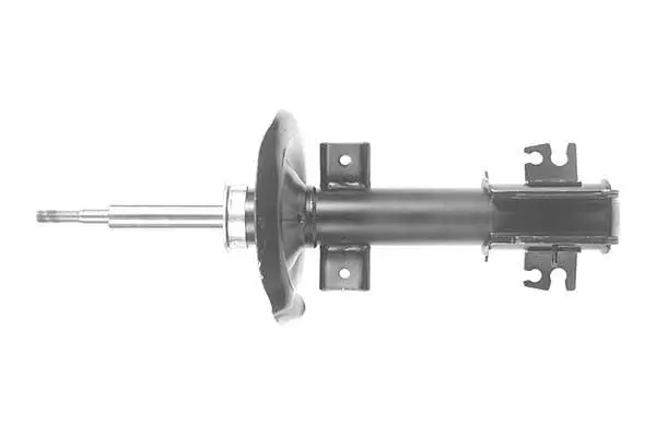 Shock Absorber (AM5928)