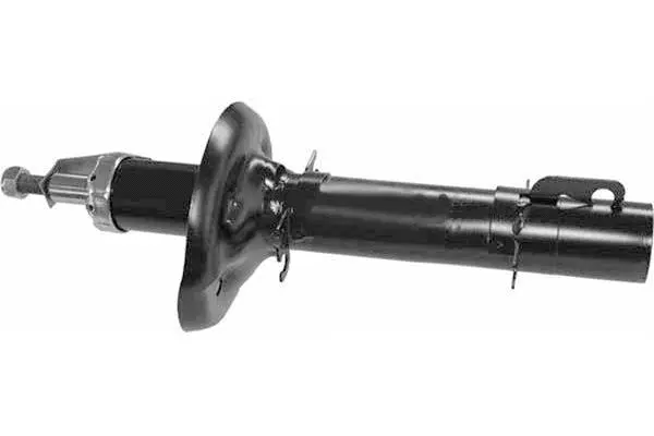 Shock Absorber (AM5058)
