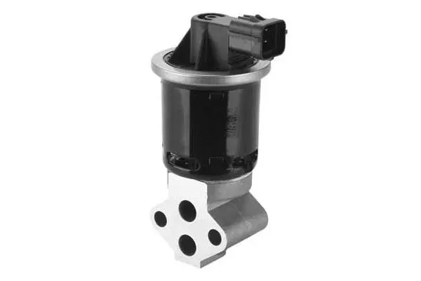 EGR Valve (VA7105)